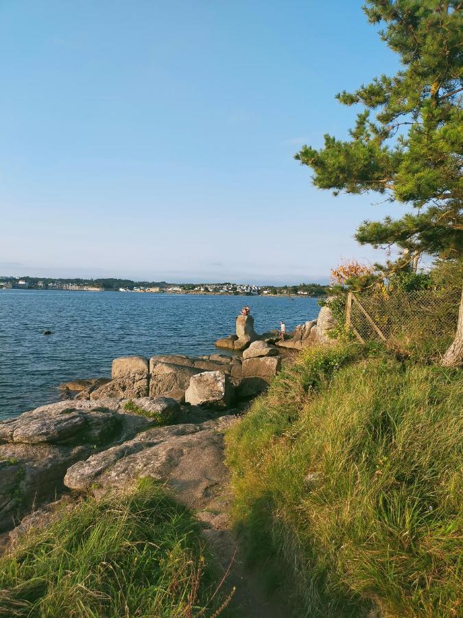 L'Elephant Blanc De Concarnoloc Concarneau Eksteriør billede