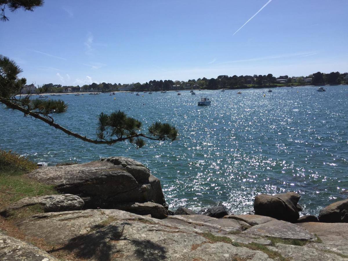 L'Elephant Blanc De Concarnoloc Concarneau Eksteriør billede